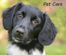 Pet Care