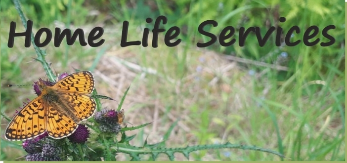 www.home-lifeservices.co.uk Logo